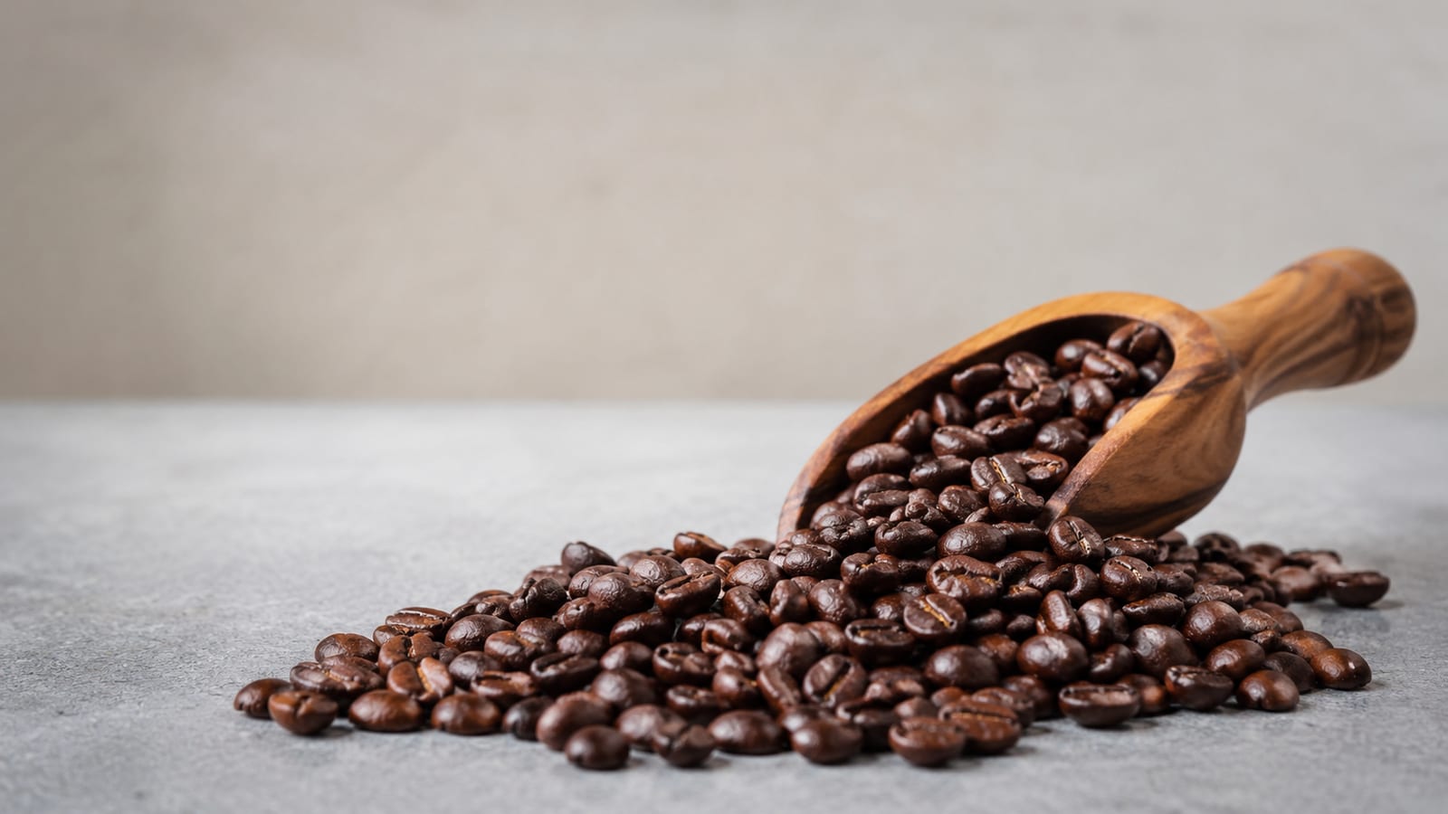 Wooden scoop overflowing with glossy freshly roasted specialty coffee beans